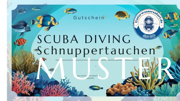 Gutschein "Schnuppertauchen" im Pool